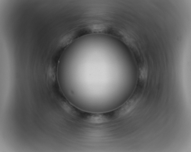 X0000113750666200909301033