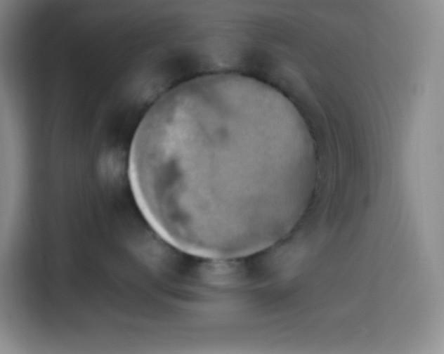 X0000113750672200909301033