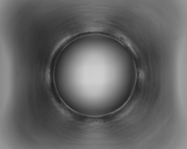 X0000113750676200909301032