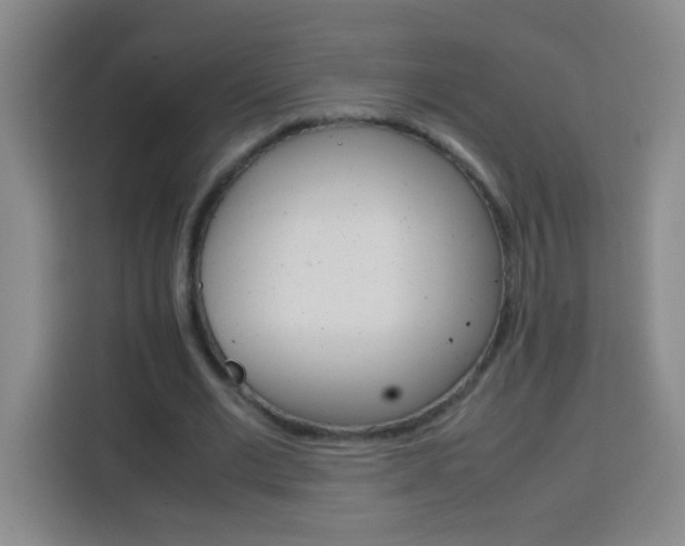 X0000113750677200909301032