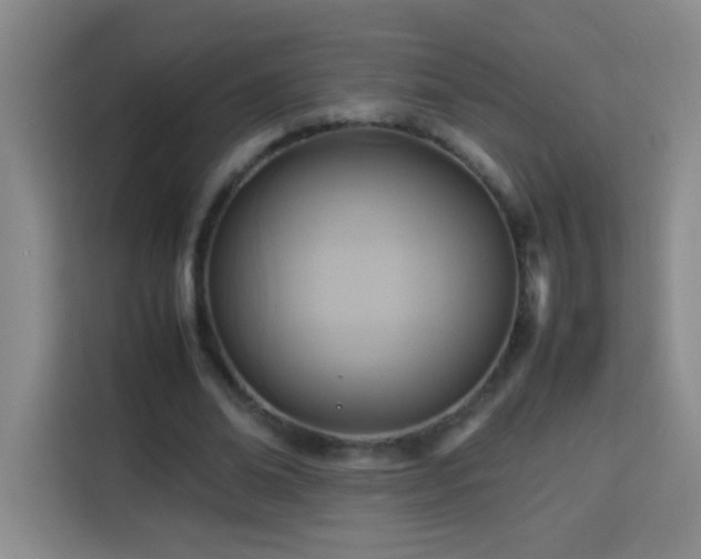 X0000113750678200909301032
