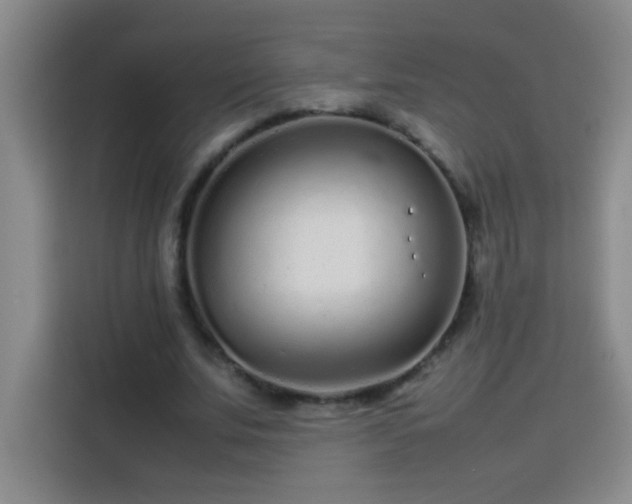 X0000113750679200909301032