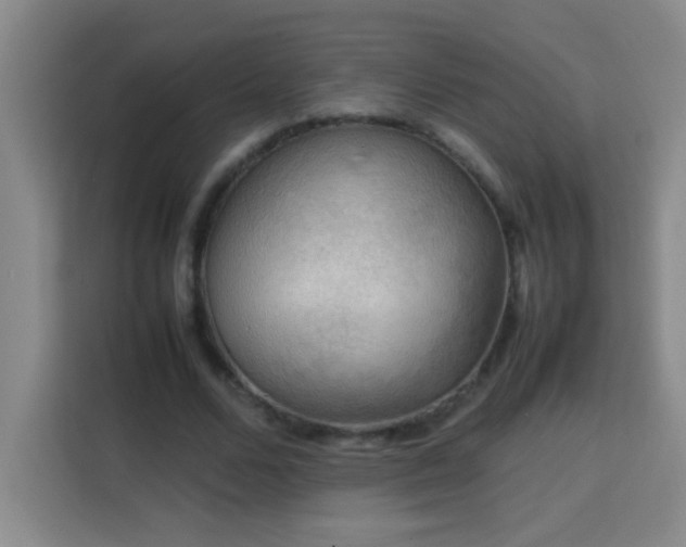 X0000113750680200909301032