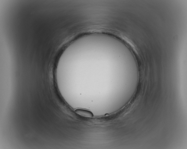 X0000113750681200909301032