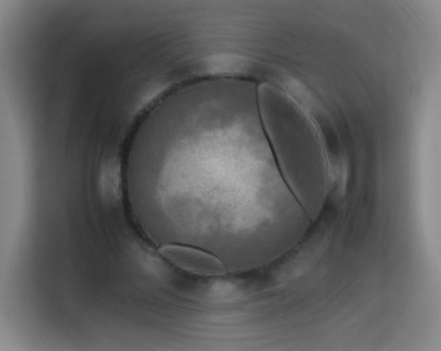 X0000113750684200909301032
