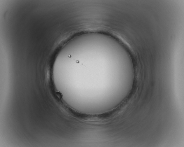 X0000113750685200909301032