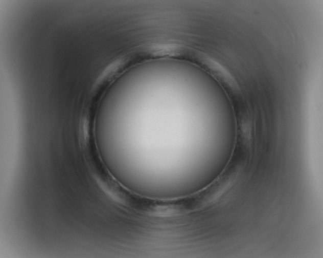 X0000113750686200909301032