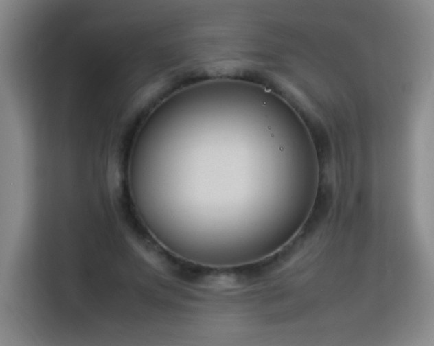 X0000113750687200909301032