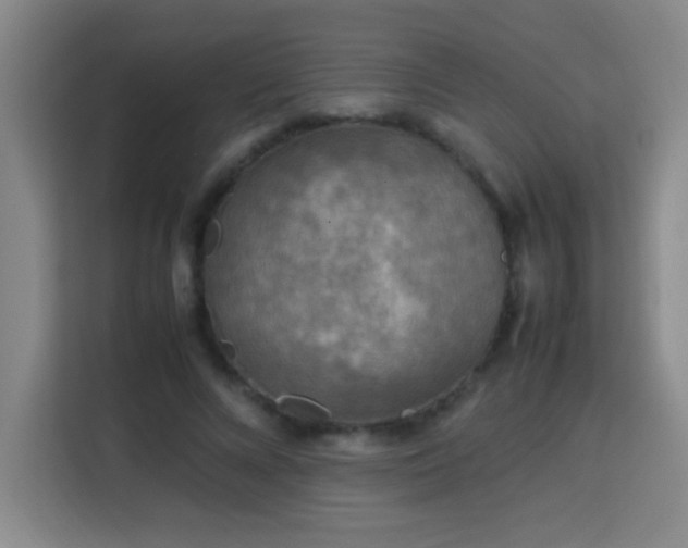 X0000113750688200909301032