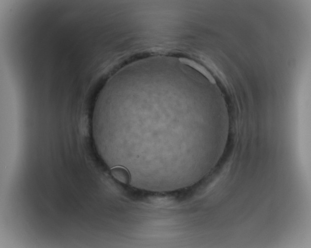 X0000113750689200909301032