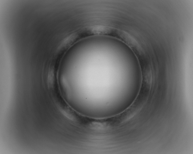 X0000113750690200909301032