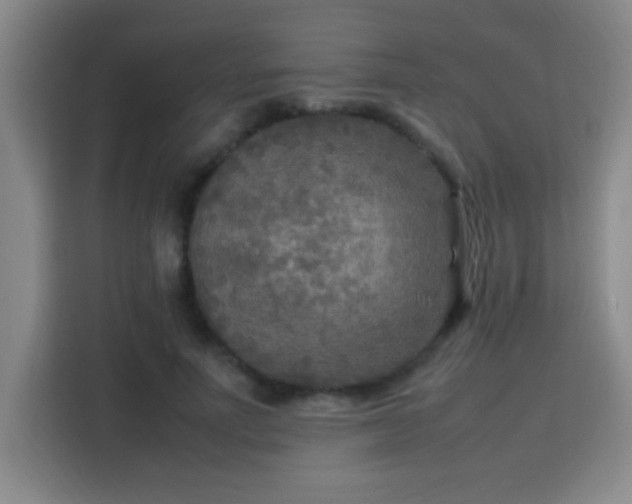 X0000113750691200909301032