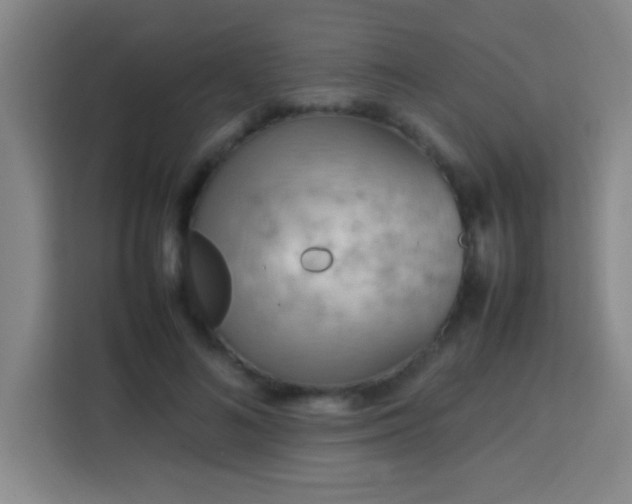 X0000113750692200909301032