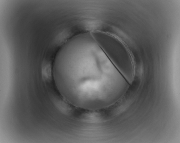 X0000113750696200909301032