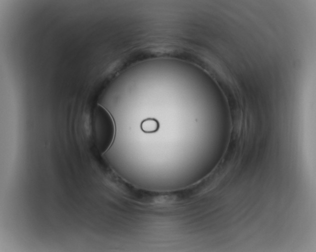 X0000113750700200909301032