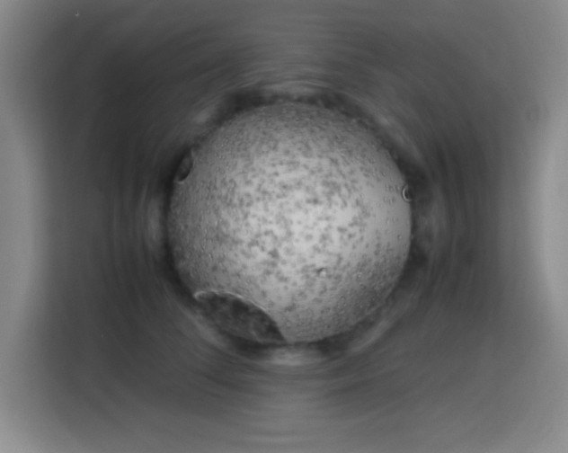 X0000113750708200909301032