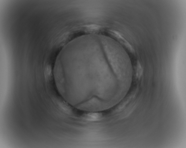 X0000113750711200909301032