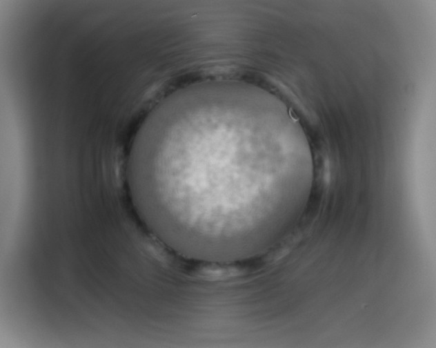 X0000113750712200909301032