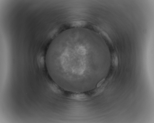 X0000113750716200909301032