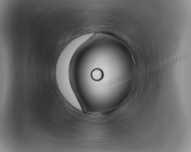 X0000113750720200909301032
