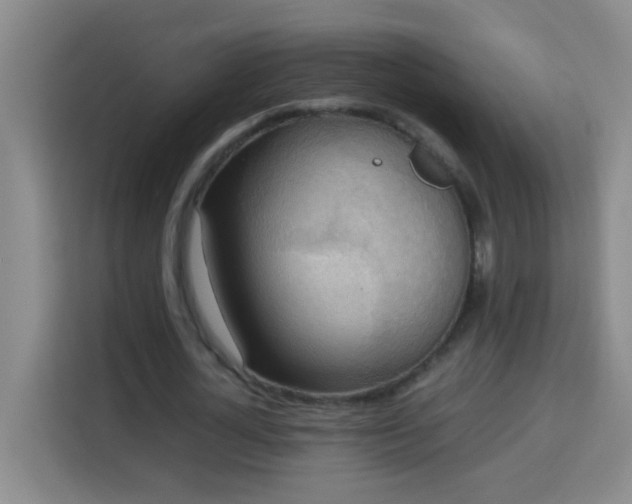 X0000113750724200909301031