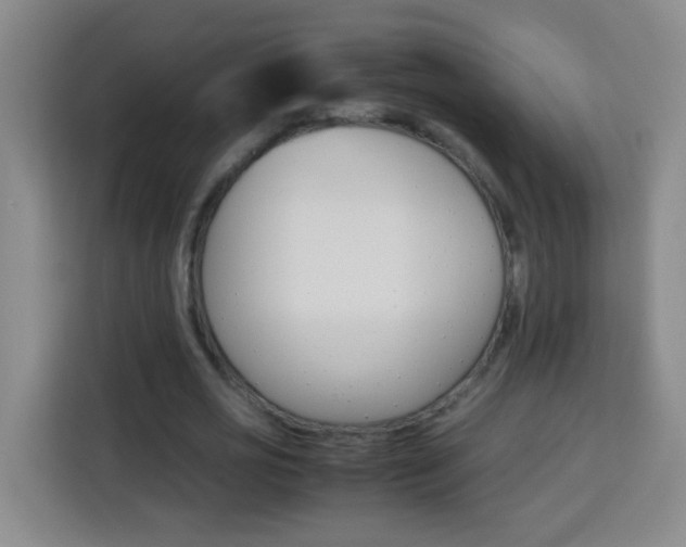 X0000113750725200909301031
