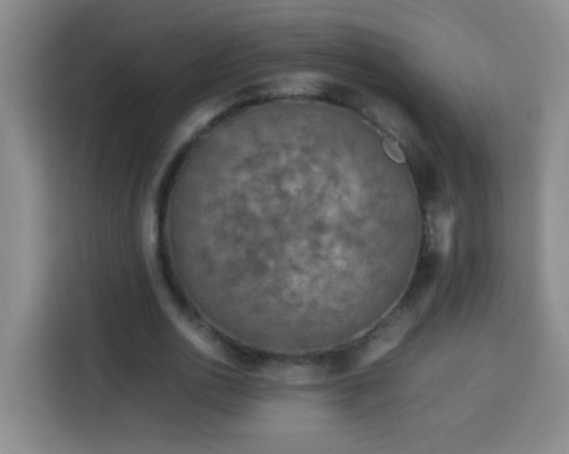 X0000113750726200909301031