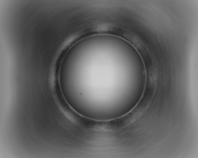X0000113750728200909301031