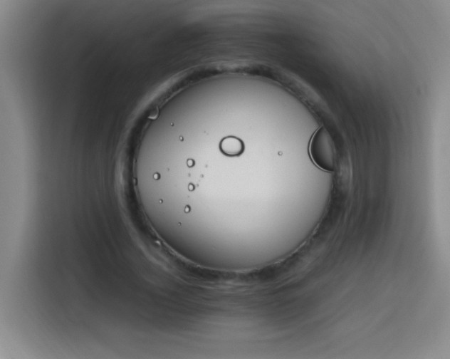 X0000113750732200909301031