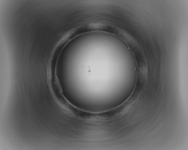 X0000113750734200909301031