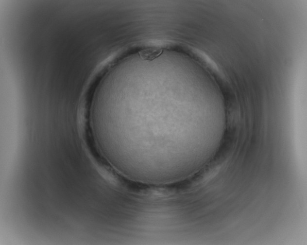 X0000113750736200909301031