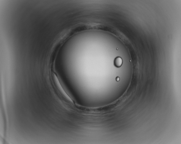X0000113750738200909301031