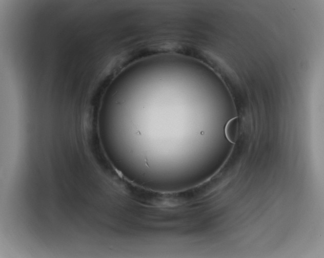 X0000113750739200909301031