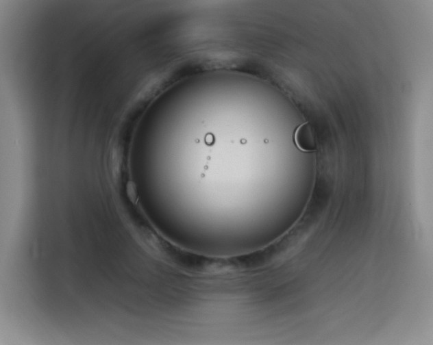 X0000113750742200909301031