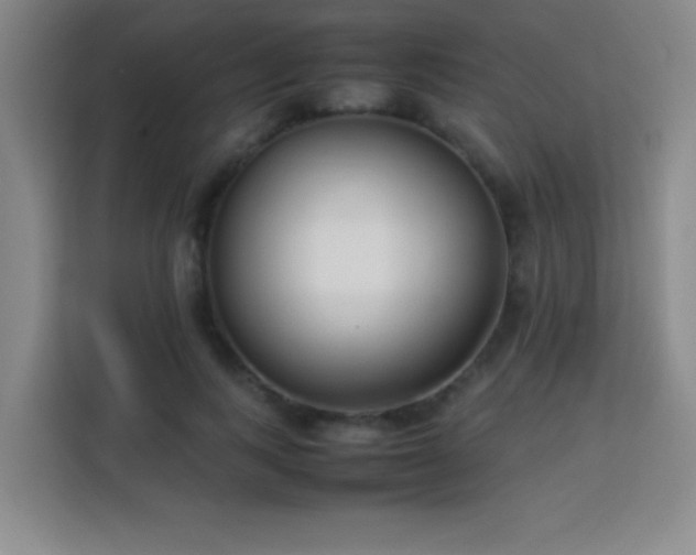 X0000113750743200909301031