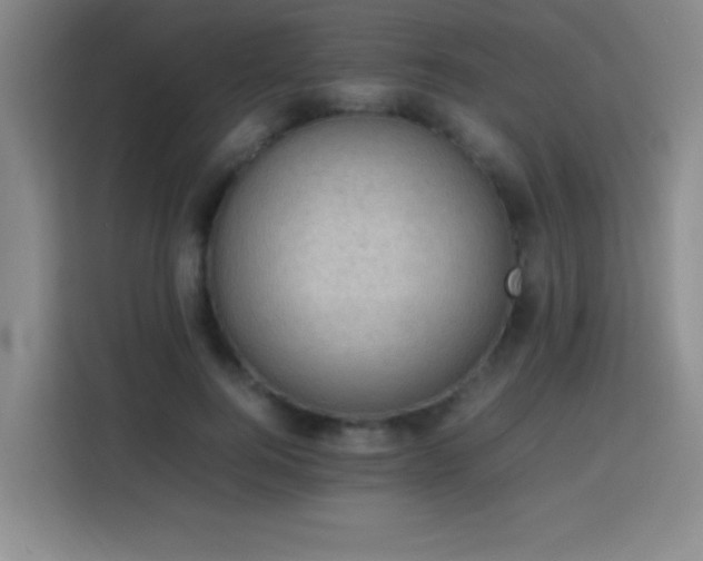 X0000113750744200909301031