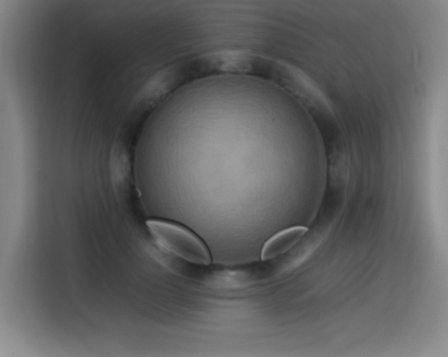 X0000113750748200909301031