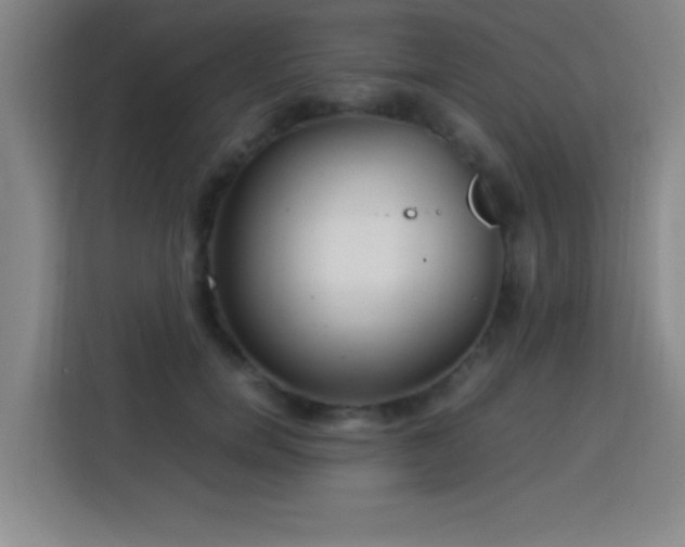 X0000113750750200909301031