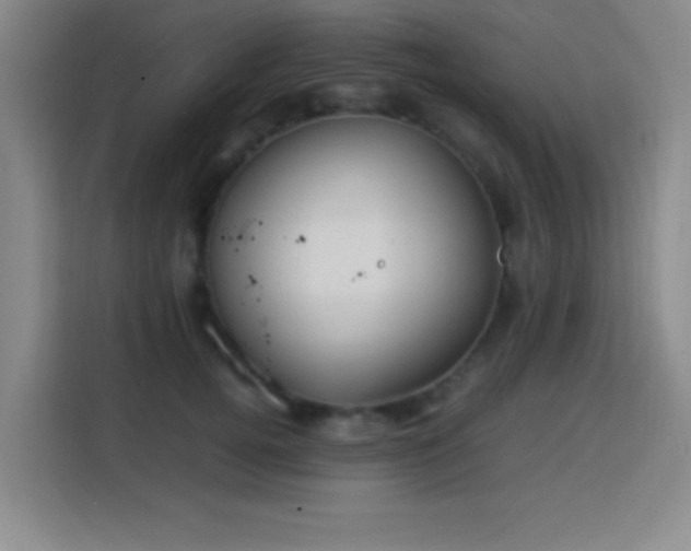 X0000113750752200909301031
