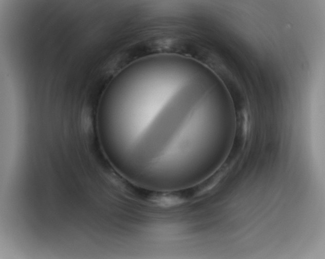 X0000113750754200909301031