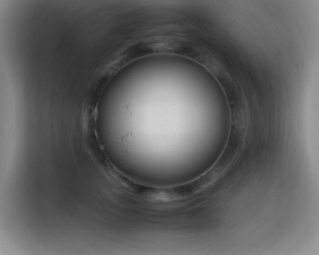 X0000113750755200909301031