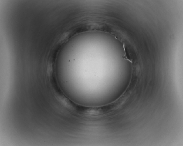 X0000113750756200909301031