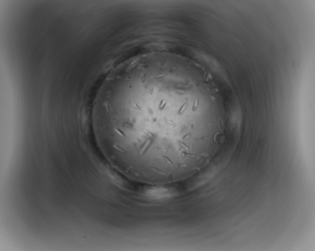X0000113750759200909301031