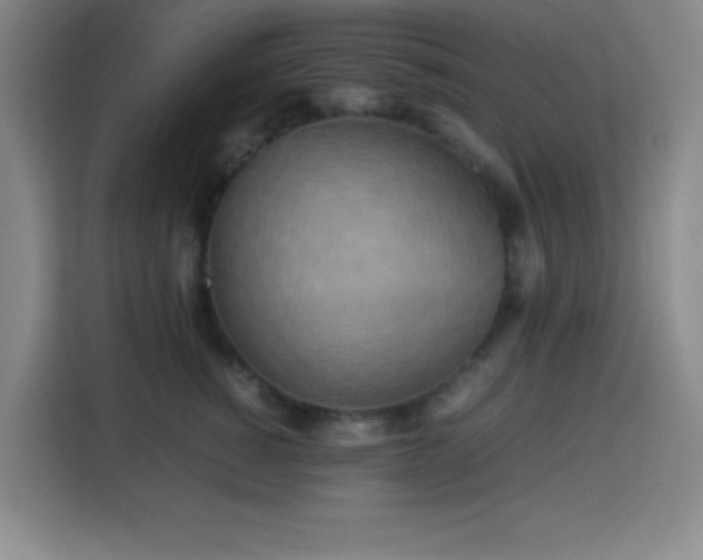 X0000113750760200909301031