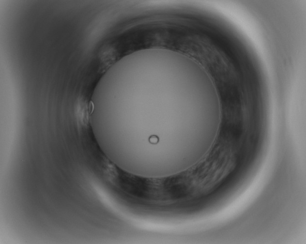 X0000113750766200909301031