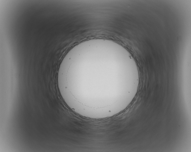 X0000113750769200909301031