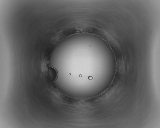 X0000113750770200909301031