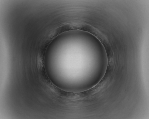 X0000113750772200909301031