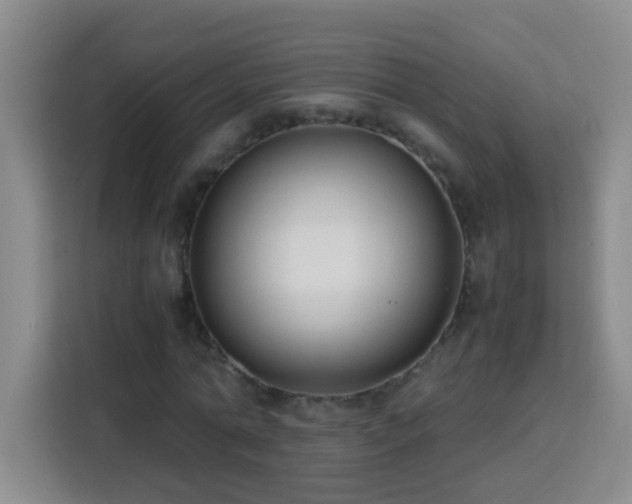X0000113750774200909301031