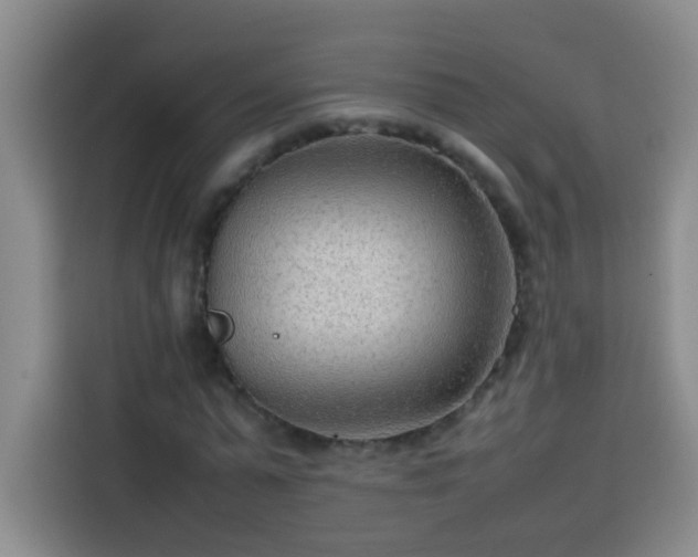 X0000113750775200909301031